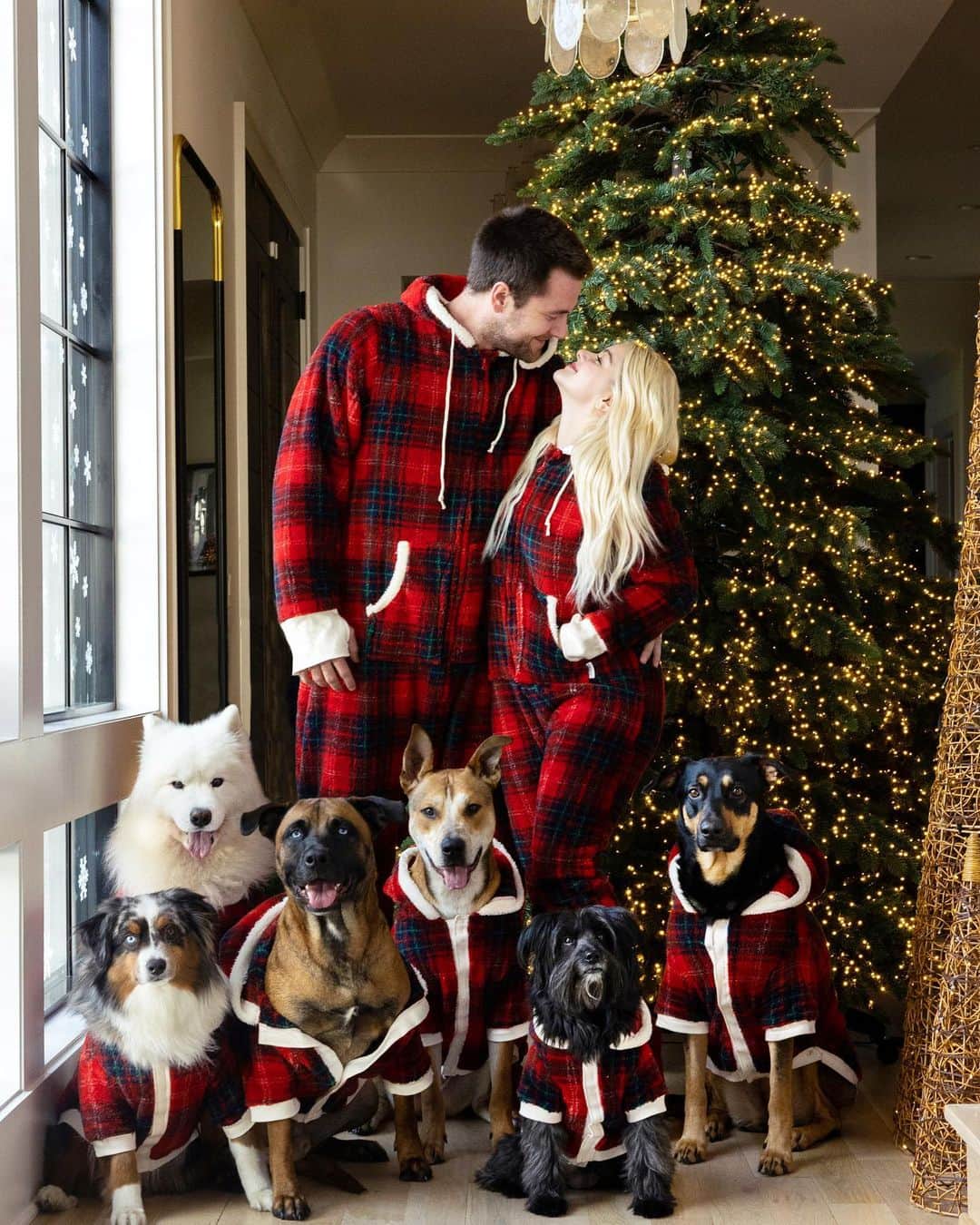 アリエル・ウィンターのインスタグラム：「❤️❄️Merry Christmas❄️❤️   🐶  #merrychristmas #2022 #dogsofinstagram #dogs #dogstagram #family」