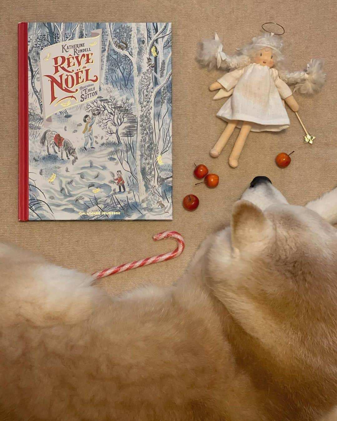 フィロとポンポンのインスタグラム：「Lecture du Dimanche 25 Décembre…✨  📚“Rêve de Noël” de @katherine.rundell et @emilysuttonartist aux @gallimard_jeunesse .」