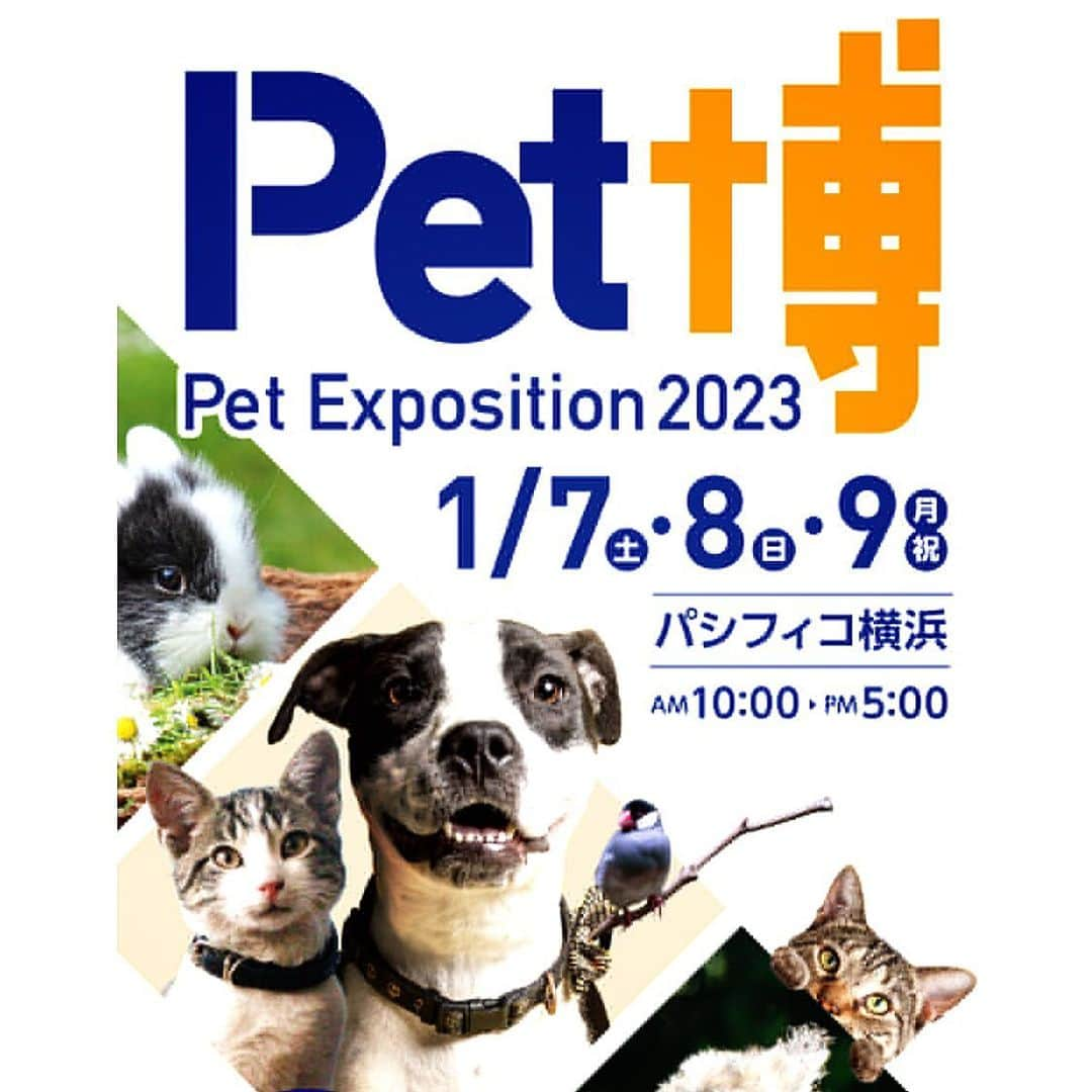 大原かおりのインスタグラム：「❤️ 2023年1月7.8.9日(土日月)の三連休は、 パシフィコ横浜でPet博が開催されます🐶😽  今回もOttyブース出店します💓💓💓 Ottyブースは、会場入って左の壁沿いです💁‍♀️  相変わらず私は、10時〜17時まで ずっとOttyブースにますので いつでも気軽に遊びに来てくださいねっ😘🤞  ⑅◡̈⑅  Ottyブースでの販売商品の内容や、イベントに関しては また改めてアップさせてもらいます🤗🎶  まだまだマスク必須ではございますが。。 マスクの中は最高級の笑顔で😘😘😘 お待ちしております〜♪(´ε｀ )❤️  ⑅◡̈⑅  日時 :  1月7日(土)〜1月9日(月・祝) 10時〜17時まで 会場 : パシフィコ横浜・展示ホールA 住所 : 神奈川県横浜市西区みなとみらい1-1-1 ペット博イベント詳細 : http://www.pethaku.com/yokohama ・ #ペット博 #Pet博 #横浜ペット博 #パシフィコ横浜 #Pet #PetEvent #Dog #LoveDog #Cat #LoveCat #🐶 #😻 #🐰 #🐷 #🐥 #💕 #マスク #うがい #手洗い #消毒 #お互いに #対策万全で #😌❤️」