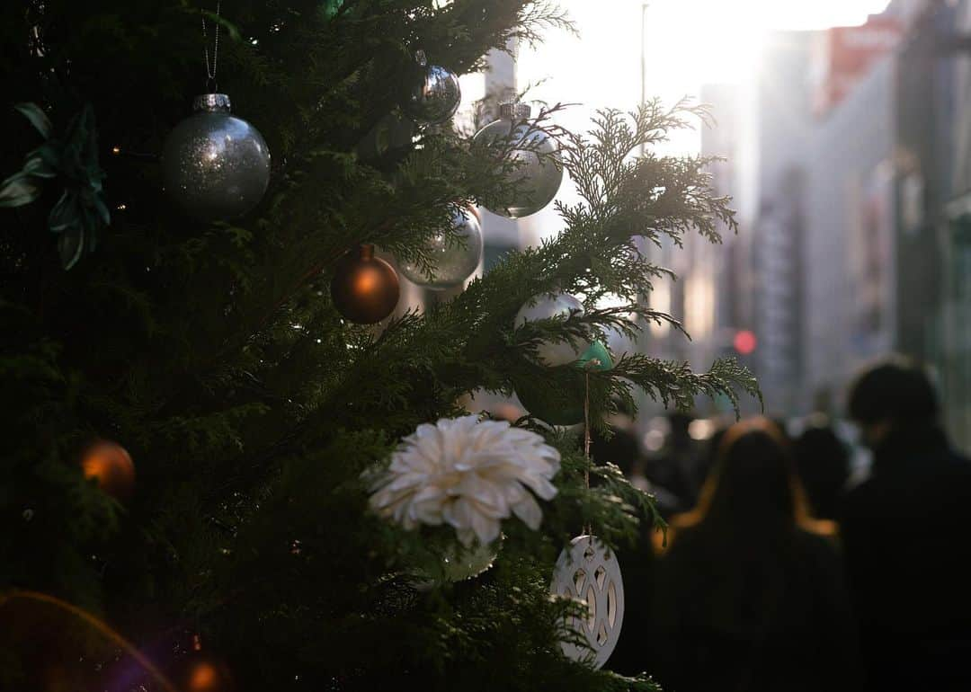 羽坂譲人さんのインスタグラム写真 - (羽坂譲人Instagram)「Week 51: Seasons. Greetings. The future is always given bright. As the contrast seeing it through enjoying the ride in the night. Eyes are widely open in the cyclical sense of time. I can never lose the chance to witness everything at everywhere I want all the time, and I have unlimited bucket list growing much faster than the speed of my achievements. Such an excitement. 明るい未来は、夜を楽しんだ先に、その対比として見えてくる。だからいつも目を開けていないともったいないのだ。「しまった見逃した！」とならないように、目撃し続けたいのだ。そのくらい毎日毎分毎秒を目まぐるしく過ごしている感覚が自分には常に必要だ。そして消化するスピードよりも速く無限に増え続けるバケットリストが、悩みの種である。欲はない方だと思っていたけど、けっこう欲張りなのだ。 . . . . . #myleicaphoto #myleicajourney  #leicam10preporter #leicam10p #leicam10d #throughyourleica #summicron35mm6element #lensculture #lfimagazine #worldviewmag #life_is_street #toneception #f22bestphoto #spicollective #forthetones #myspc #tspf #throughyourleica #leicagram #leica_world #leica_society #leicacommunity #leica #leicacamera  #leicamag #summicron #summicron35 #photocinematica #35mm #summicron50」12月26日 3時57分 - _f7