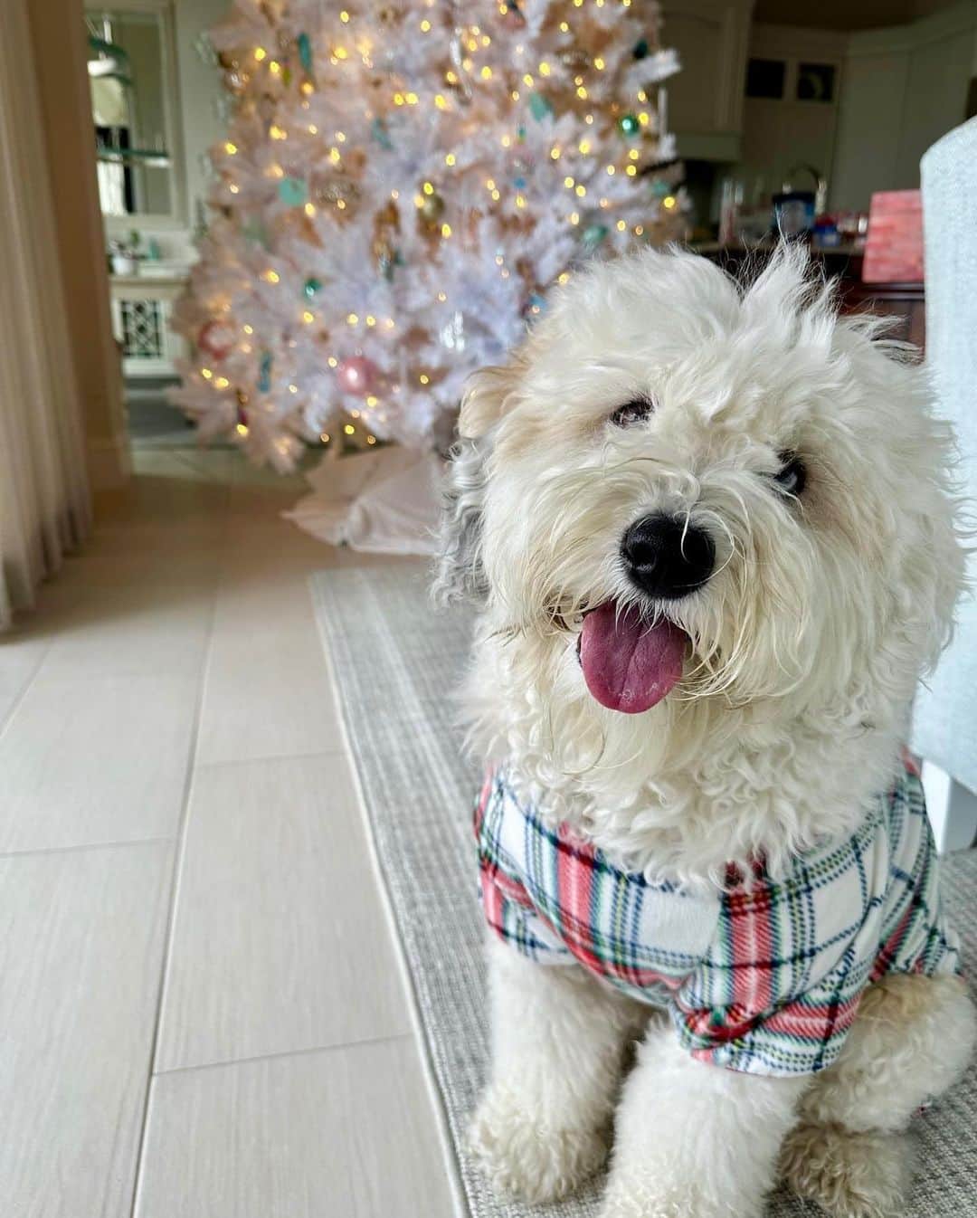 メリル・デイヴィスのインスタグラム：「May your days be merry and bright! Wishing you and yours a very happy holiday season 💓」