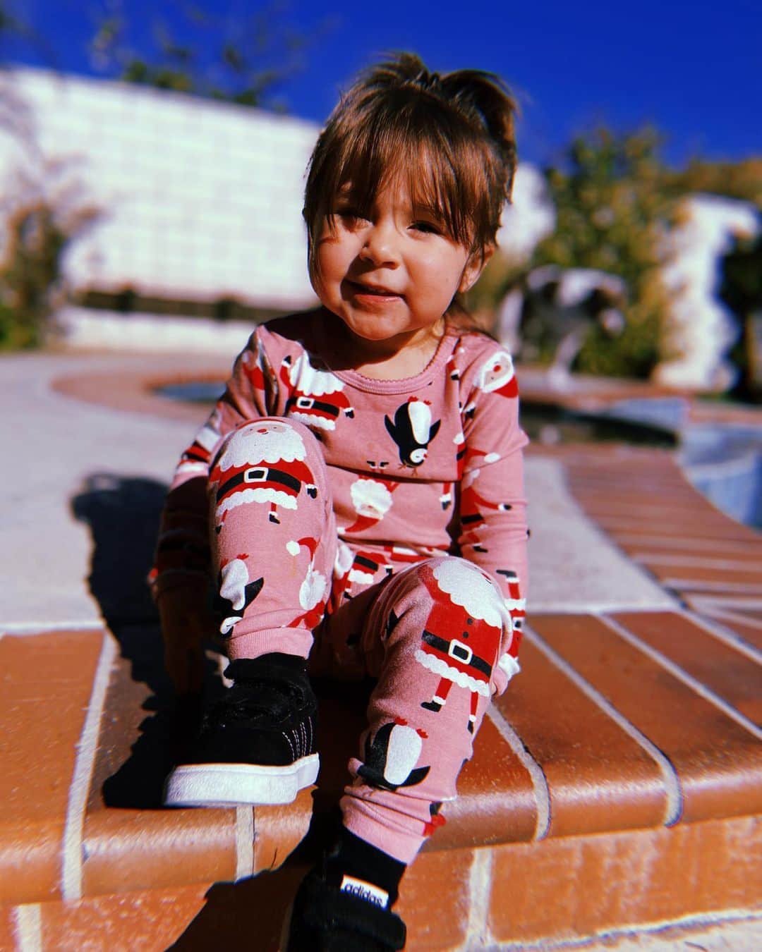 のインスタグラム：「🎄 ➡️ CALI」