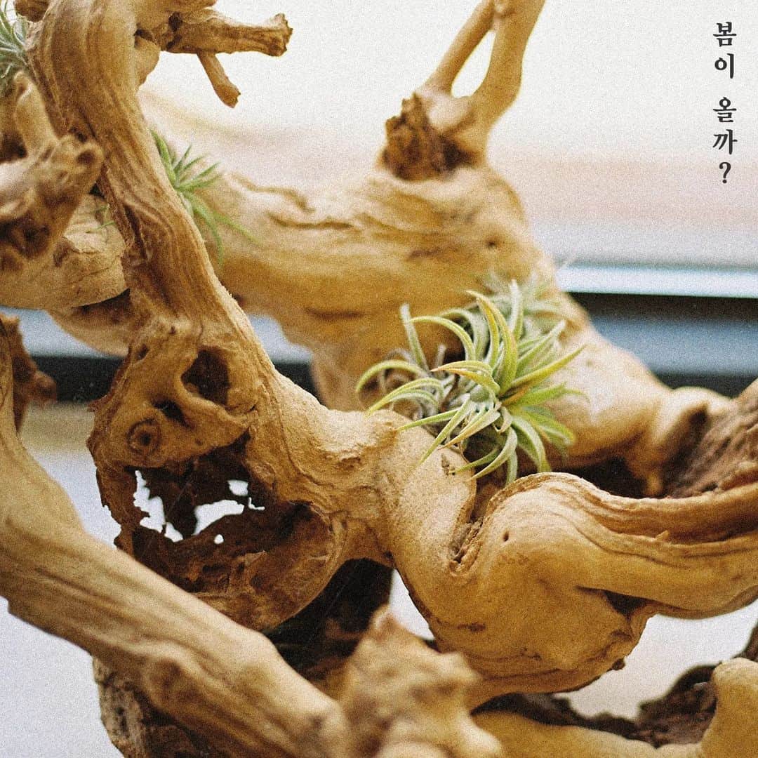 JBのインスタグラム：「봄이 올까? - Def.  Out💥💥  Atrwork by @junsngwon」
