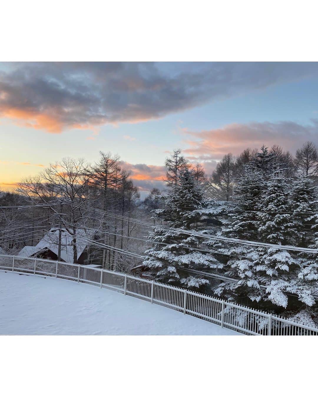星奈津美さんのインスタグラム写真 - (星奈津美Instagram)「最近の週末は極寒の軽井沢で過ごしております☃️ このときはちょうど着いた日の夕方に雪が降ってきて、朝起きたら積もっていて一面銀世界に❄️❄️❄️ 幻想的ですごーく綺麗でした☺️✨  ここまで積もってる雪はふたりとも初めてだからどうかなぁと思ってたけど、走り回ってくれて特にふゆ太は楽しそうでした😆✊ (ハル太は途中から早くお家に入ろうって感じでした笑)  #軽井沢 #別荘  #年末に慌てて今年のもの投稿してる」12月26日 16時49分 - ntm_hoshi