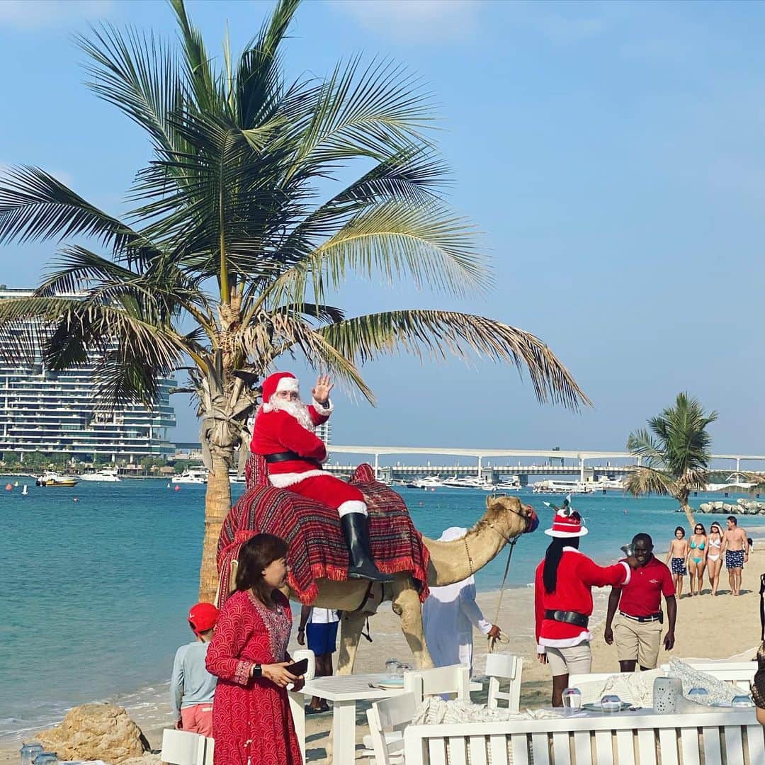 小泉里子のインスタグラム：「Christmas♡  #ラクダに乗ったサンタ #camelsanta」