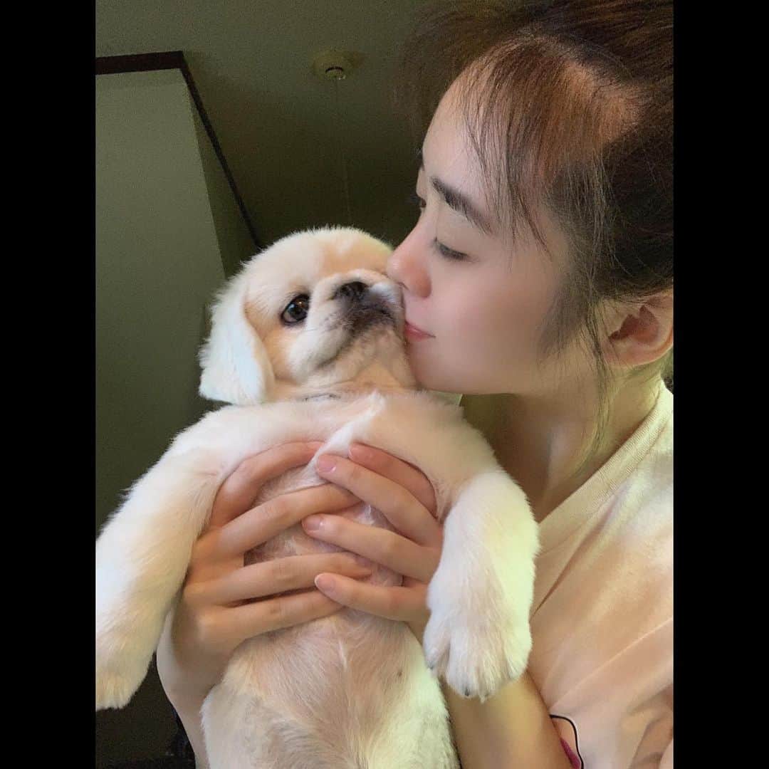 のインスタグラム：「.  ぶんちゃん3歳のお誕生日🎂🤍  写真は3年前のと今日の🫢 大きくなってる〜😂❤️」
