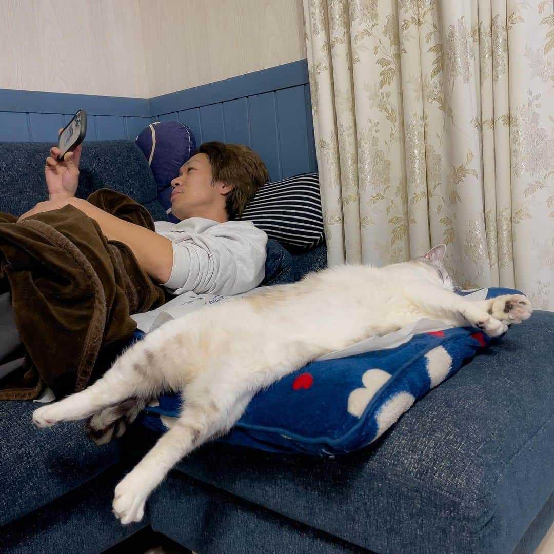 Sakiさんのインスタグラム写真 - (SakiInstagram)「* Seriously!?😂 She just makes me smile! #元野良猫部 #元野良もカワイイ説普及隊  *」12月27日 0時31分 - rubyeve12