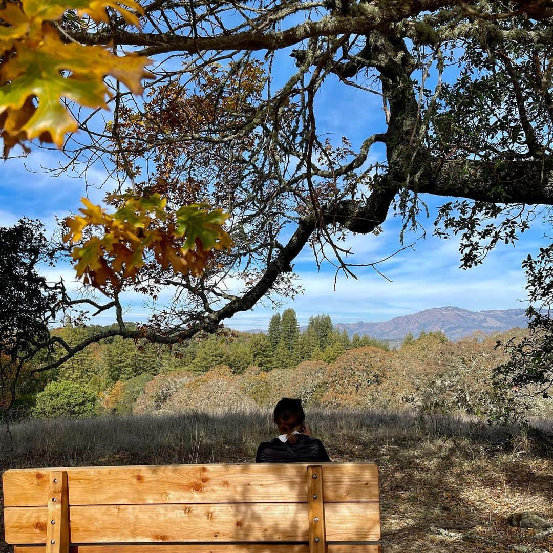 リリー・チャンのインスタグラム：「Late nov dump 💙」