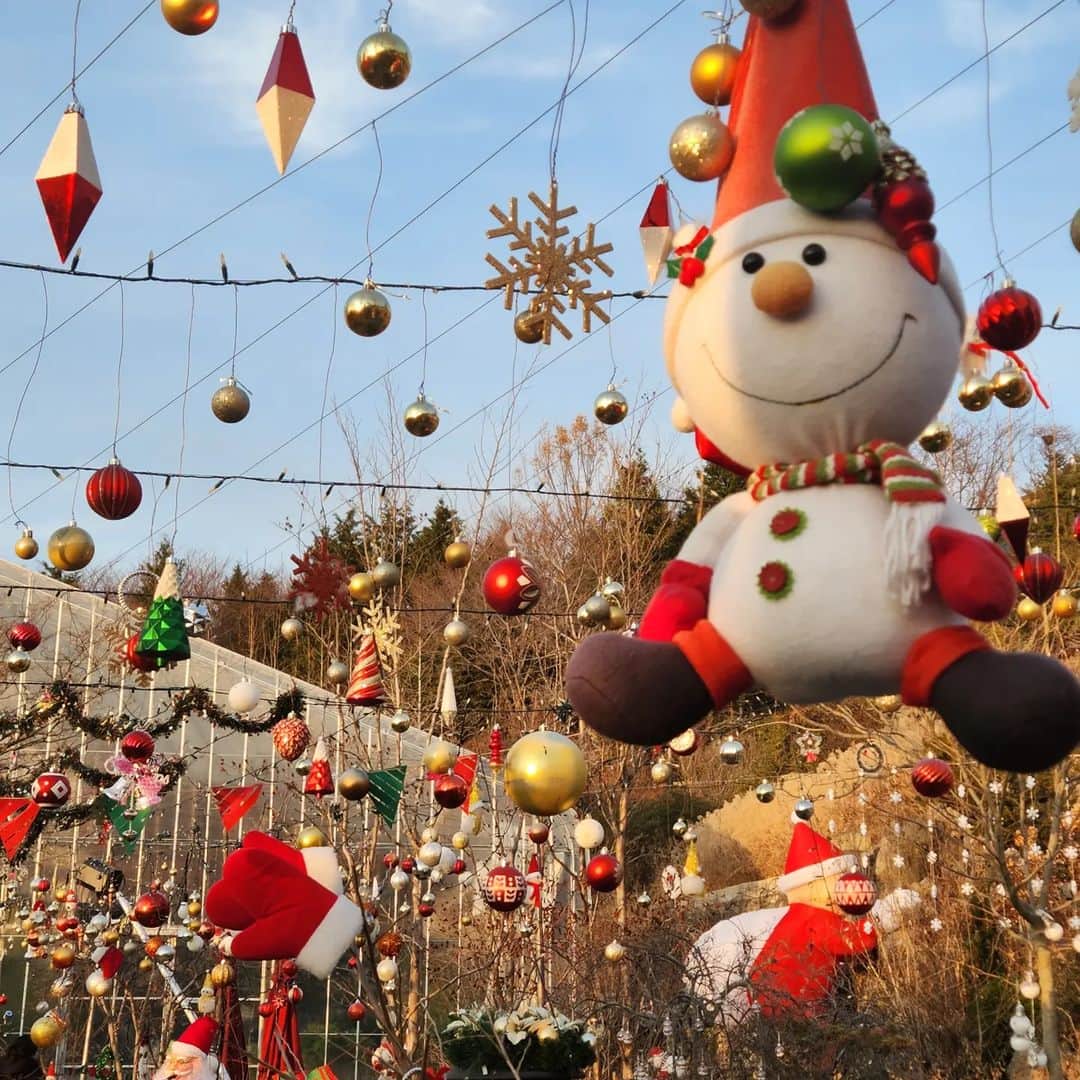 ココのインスタグラム：「연말에 분위기가 👍..🎅  Are you all having a good end of the year? 최쑤 김예 쑤민이 양갱이랑 🎁 이브에 모여소 🎂 케이크가 너무 이뻣당 최쑤 작품 😭👍 최쑤 체고 어릴때부터 10년 넘게 내친구들   울님들두 다들 잘 보냈어요? ❤️」