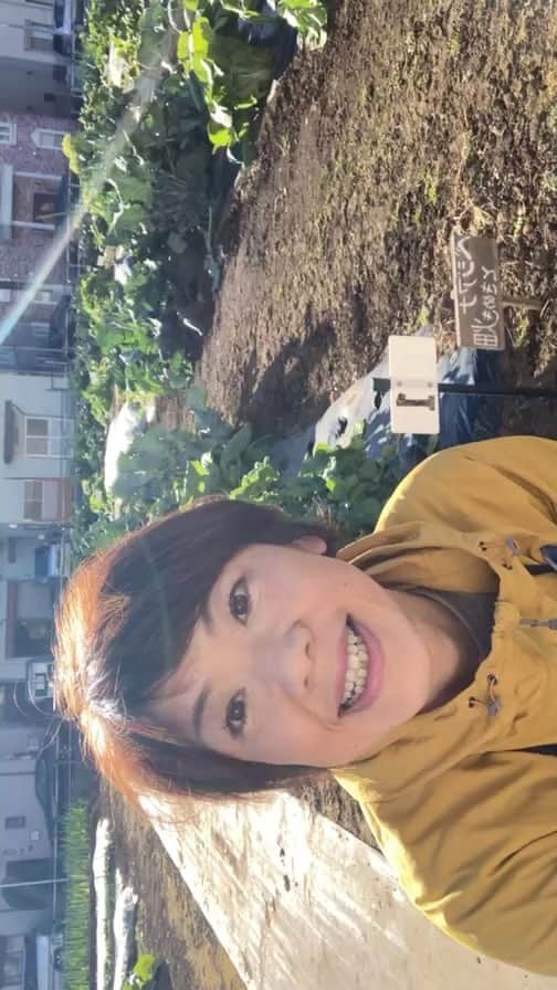 小谷あゆみのインスタグラム：「世田谷の体験農園からライブ配信だよー あれ、画面なんか変だよ」