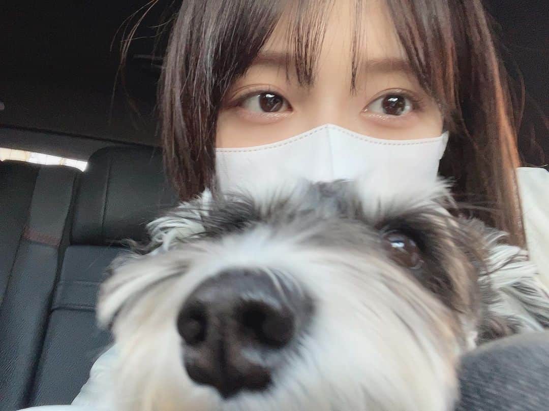 早見紗英のインスタグラム：「🐶」