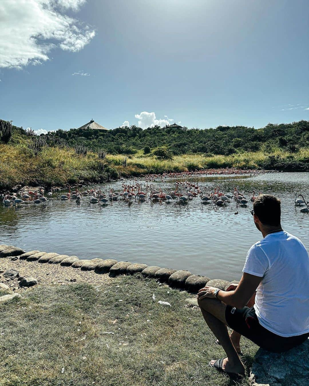 フアン・マルティン・デル・ポトロさんのインスタグラム写真 - (フアン・マルティン・デル・ポトロInstagram)「Un poco de paz, naturaleza 🦩🦢 #peace #nature」12月28日 7時16分 - delpotrojuan