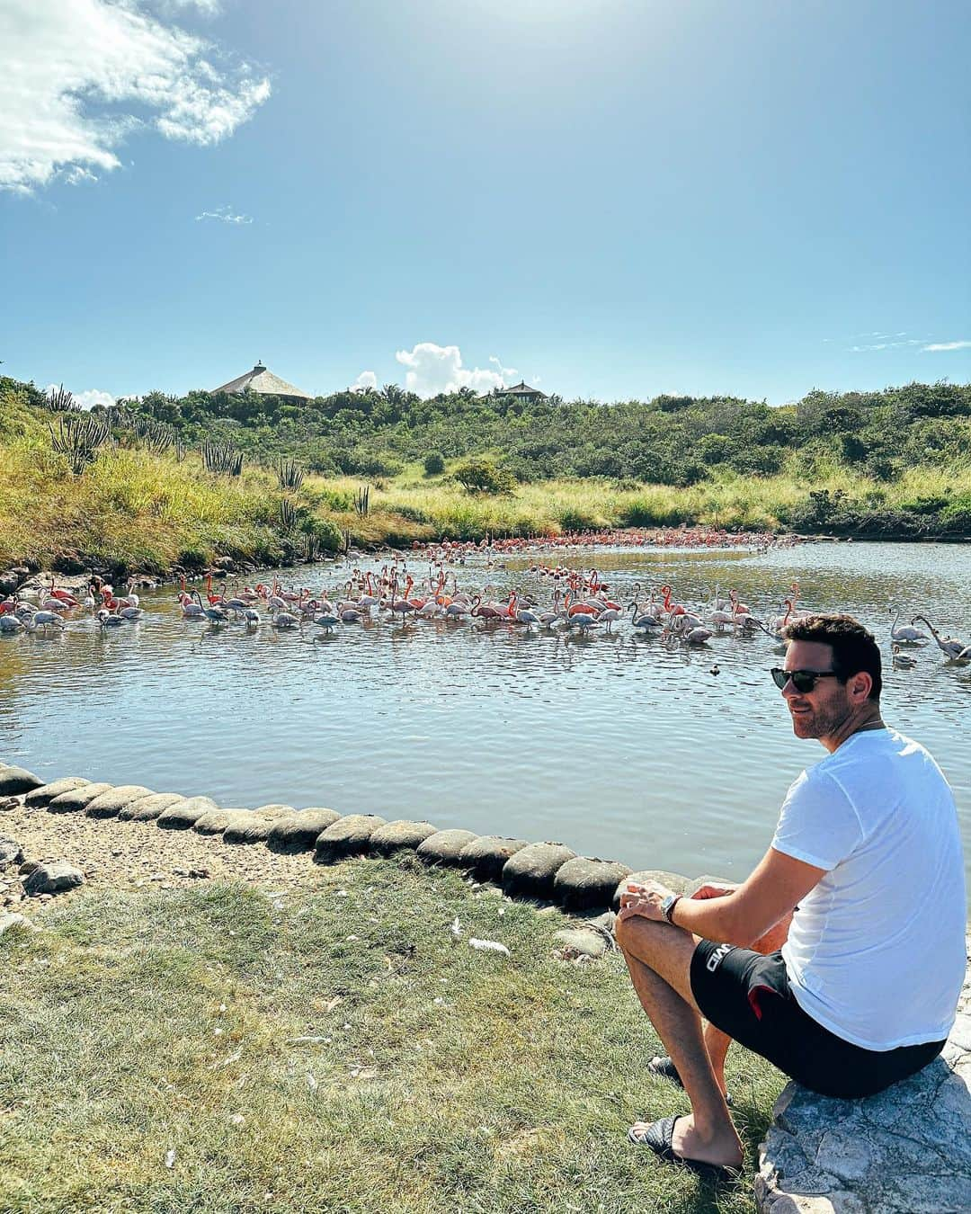 フアン・マルティン・デル・ポトロのインスタグラム：「Un poco de paz, naturaleza 🦩🦢 #peace #nature」