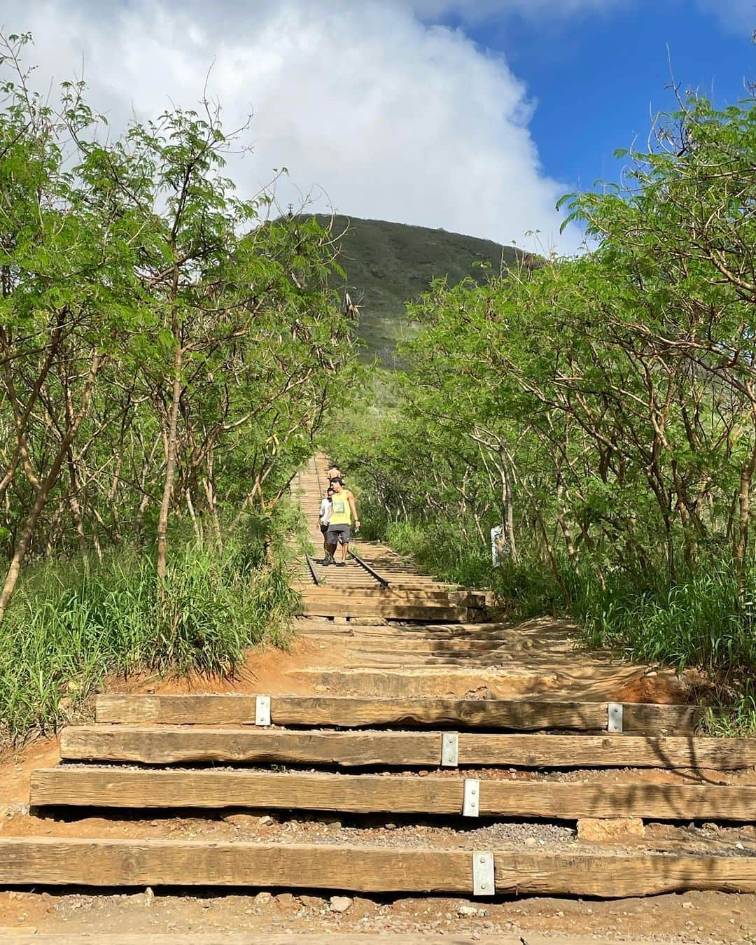 内山高志さんのインスタグラム写真 - (内山高志Instagram)「5年振りのココヘッド⛰  運動してない身体にはキツ過ぎた😵  前は20分以内楽勝だったのに、今回は23分。  足ガクガク🦵  運動しないとなぁ😂  #Hawaii #オアフ #ココヘッド」12月28日 14時14分 - takashikod