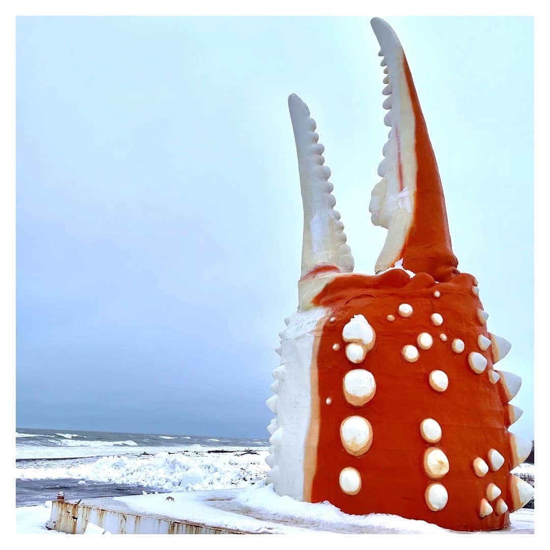 佐々木一真さんのインスタグラム写真 - (佐々木一真Instagram)「先週は大雪取材のため、 金沢→新潟→北海道紋別と各地を飛び回る週末でした！ 紋別でびっくりした大きなカニの爪のオブジェ。 冷たいオホーツク海の風が吹き荒れる中そびえ立っていました。  停電など大変な状況の中 お話を聞かせてくださった皆様本当にありがとうございました。  会社に戻ると、いつもお世話になっているスタイリストさんからキャンドルのプレゼントが！ 火をつけるといい香りがするそうなので、これで癒されて年内あと少し、頑張ります✨  グッド！モーニングは30日まで放送です！  #紋別 #大雪 #グッドモーニング #テレビ朝日 #佐々木一真」12月28日 16時33分 - kazuma_sasaki_