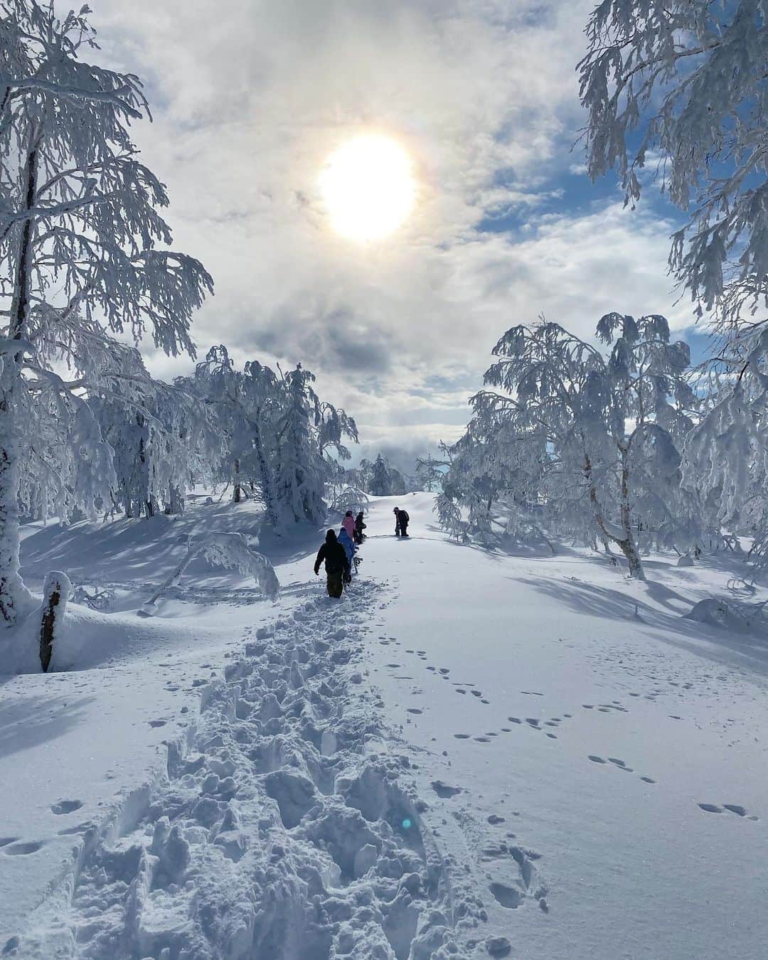 岩垂かれんのインスタグラム：「❄️☀️」