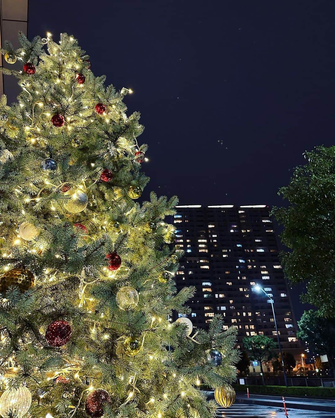 黒木桃子さんのインスタグラム写真 - (黒木桃子Instagram)「クリスマス終わっちゃったぁぁ🥹(ちいかわ風  友達とホームパーティーをしたり、親戚や子供たちと集まってお祝いしたり、とてもhappyな時間を過ごせました🫶❣️みんなありがとう✨🎄  2枚目のツリーのピアスは昔友達に貰ったもので、長年のお気に入り🤍 クリスマスもキラキラも大好き✨このシーズンは街を歩くだけで楽しくていいな。  師走はあっという間に過ぎますが🎢 体調に気を付けつつ、素敵な年末を🤍  Momoko🍑」12月28日 18時59分 - momoko_nagano