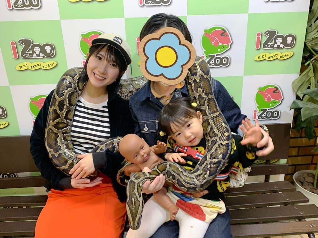 高松雪乃のインスタグラム：「年内ラストiZoo❣️家族で遊びに行ってきました🐢🐍  カメ大好きな、ちびのん🐢 よくこんな大きなカメさん達に囲まれても怖がらないなぁといつも感心します😌今年も残りわずかとなりましたね✴︎ちびのんは今日iZoo納め😊私は31日から1/3までiZooにいます❗️ よろしくお願いします❣️」