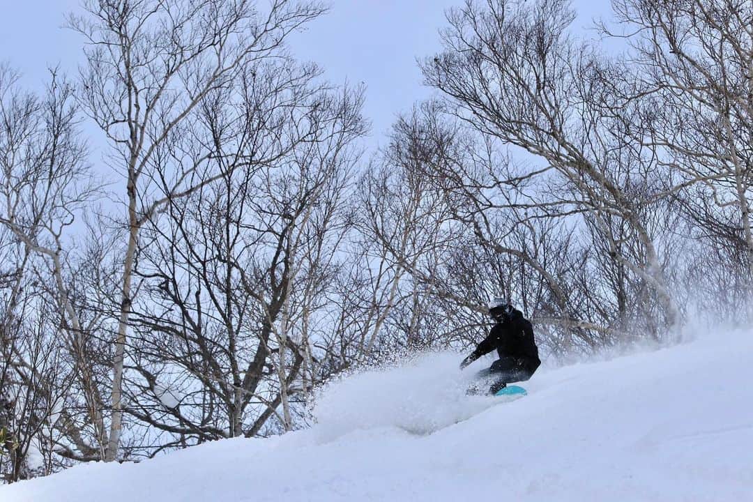 吉田拓巳のインスタグラム：「念願のこの季節がやってきて、先日シーズンイン！ 早速良い感じの大当たりでした….!!!  Photo by @96_taka   #snowboard  #niseko  #powder」