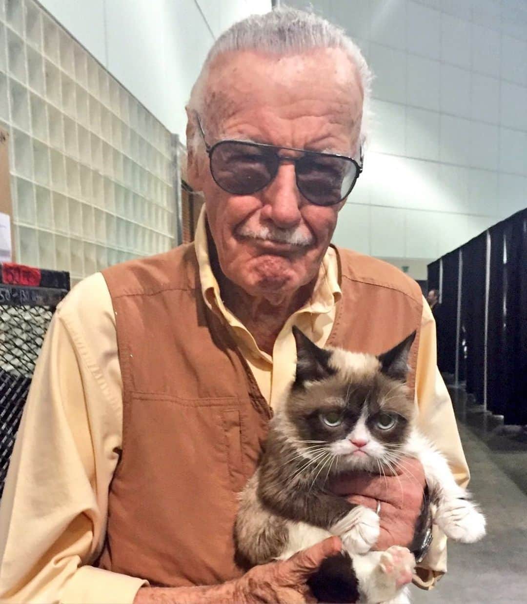 Grumpy Catさんのインスタグラム写真 - (Grumpy CatInstagram)「Happy 100th birthday to Grumpy friend Stan Lee ❤️😾」12月29日 7時34分 - realgrumpycat