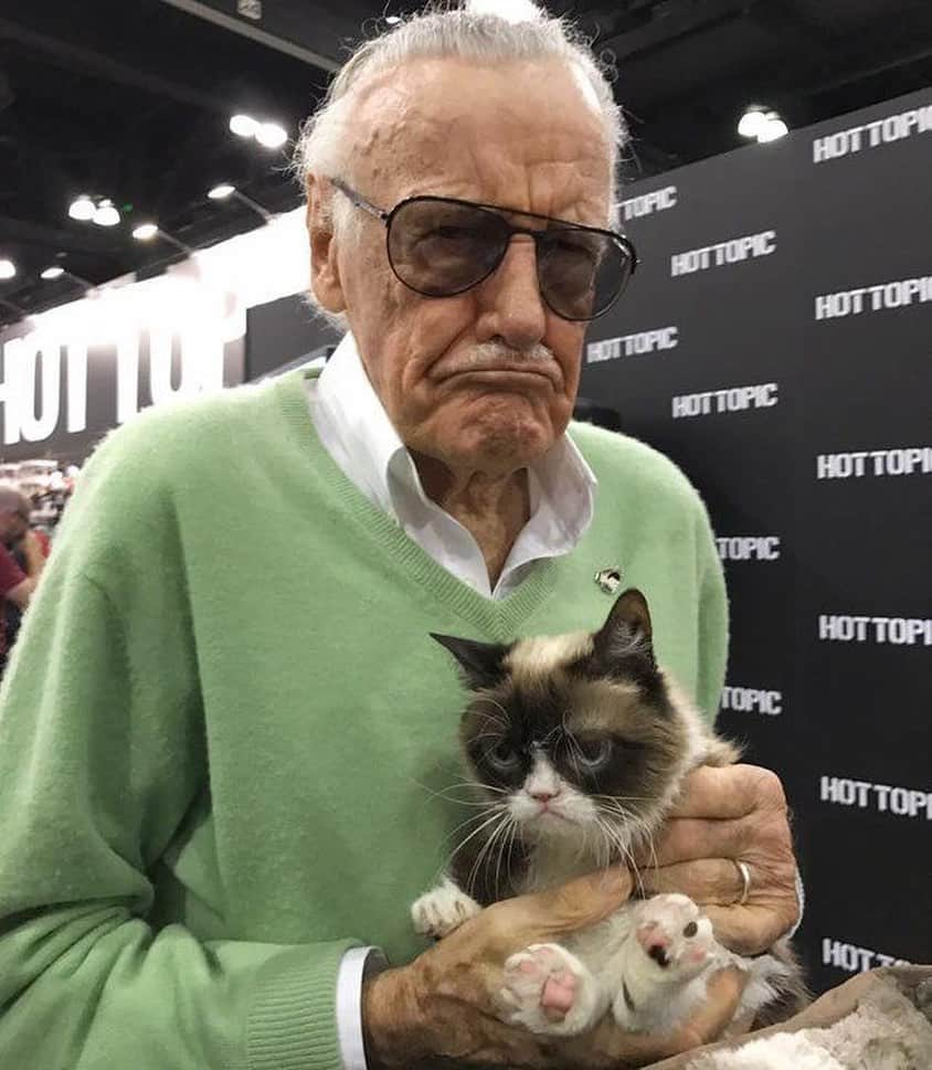 Grumpy Catのインスタグラム：「Happy 100th birthday to Grumpy friend Stan Lee ❤️😾」