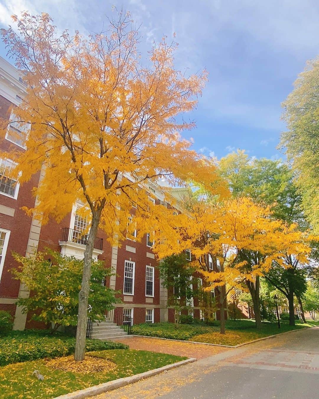酒向杏奈さんのインスタグラム写真 - (酒向杏奈Instagram)「. . Bostonの紅葉は今年も美しかった🍁 . . The fall foliage in Boston was beautiful again this year🍂 . . #fall #foliage  #boston #2022」12月29日 15時09分 - annacotta715