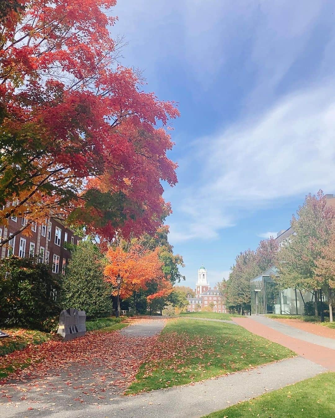 酒向杏奈さんのインスタグラム写真 - (酒向杏奈Instagram)「. . Bostonの紅葉は今年も美しかった🍁 . . The fall foliage in Boston was beautiful again this year🍂 . . #fall #foliage  #boston #2022」12月29日 15時09分 - annacotta715