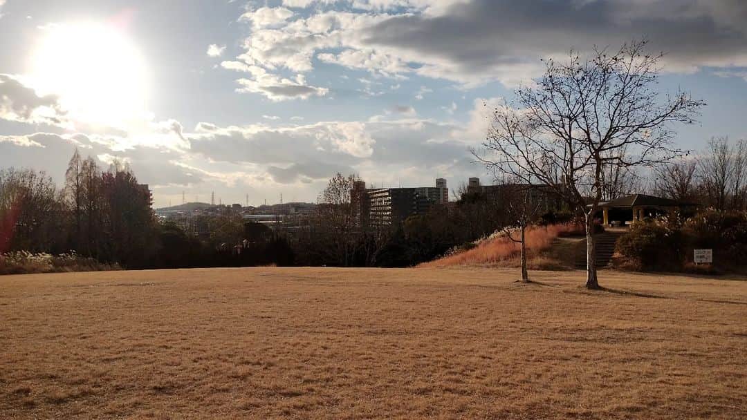 のインスタグラム：「柴子(仮名)が居なくなってコロナ禍もあり、なかなか来れなかった緑地公園へ。 流石に今日は寒い。 そして柴祭りはやってなかった。」