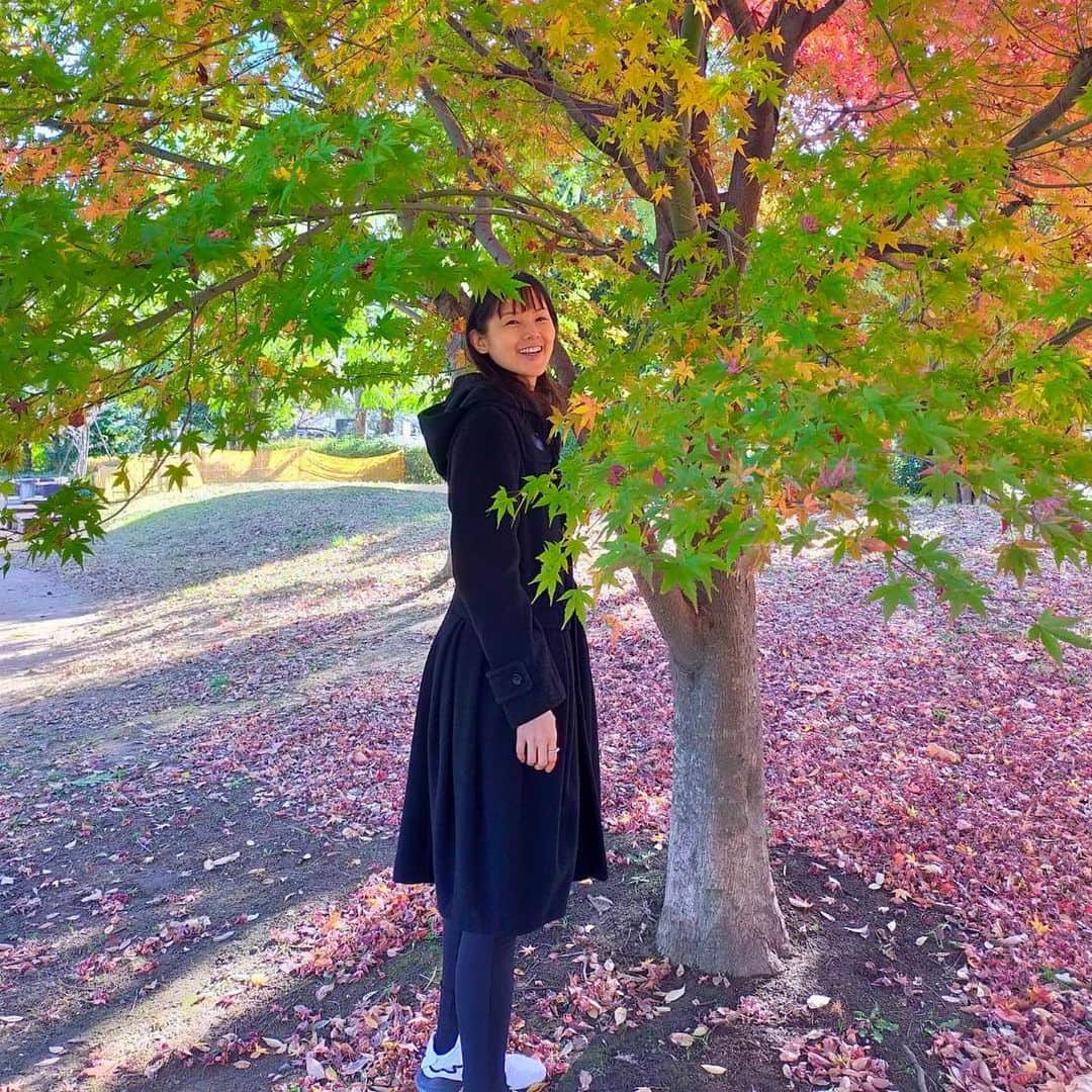 小西真奈美のインスタグラム：「大人の遠足 part4。の続き。 をあげそびれていました。  12月に紅葉を大満喫し、 ハイク登山も大満喫し、  今年読んだ本を数えたら、 なんと48冊も読んでいました😳 史上最多です。  色んな学びや発見があって、 沢山のトライが出来て、 素晴らしいお仕事もさせていただいて、 最高の1年でした。  皆さんも、今年1年がんばったご自分の身体と心を労って まさに『ご自愛』を大切にしながら、 暖かな年末年始をお過ごしください😌  今年も1年応援してくださり、 本当にありがとうございました✨  皆さんに、 笑顔と嬉しいことが沢山訪れる、 年末、そして、 2023年になりますように。  心からの感謝を込めて。  #小西真奈美 #2022年 #年末 #2023年 #年始 #Happy #笑顔 #感謝 #☺️」