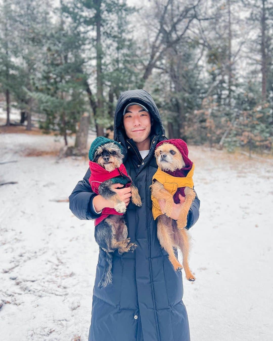 ユージン・リー・ヤンのインスタグラム：「Gamemakers put snow in the Quarter Quell, so I was the first one out. All the hot weather tributes turned into baby deer on the ice as cold district folk triple axeled the competition. Happy holidays y’all, from my bruised ass! 🥶」
