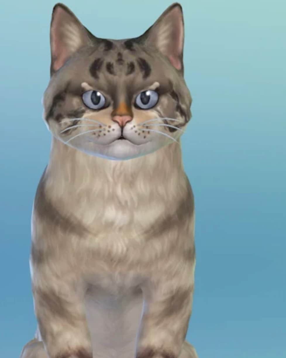 Lokiのインスタグラム：「I found someone to make Loki into a Sim! I am so excited!!!! If you play the Sims 4 you find her with the hashtag lokikitteh 🥰 #sims4 #sims #thesims #thesims4 #catstagram #catsagram #cat #cats #kitten #instacat  #catsofinstagram #catsoninstagram #pet #pets  #cute #cutecat  #instacat_meows #catoftheday #gato #cats_of_instagram  #cutepetclub #thedailykitten  #kittycat #catlover #ilovecats #animals #meow #instacute #photooftheday」