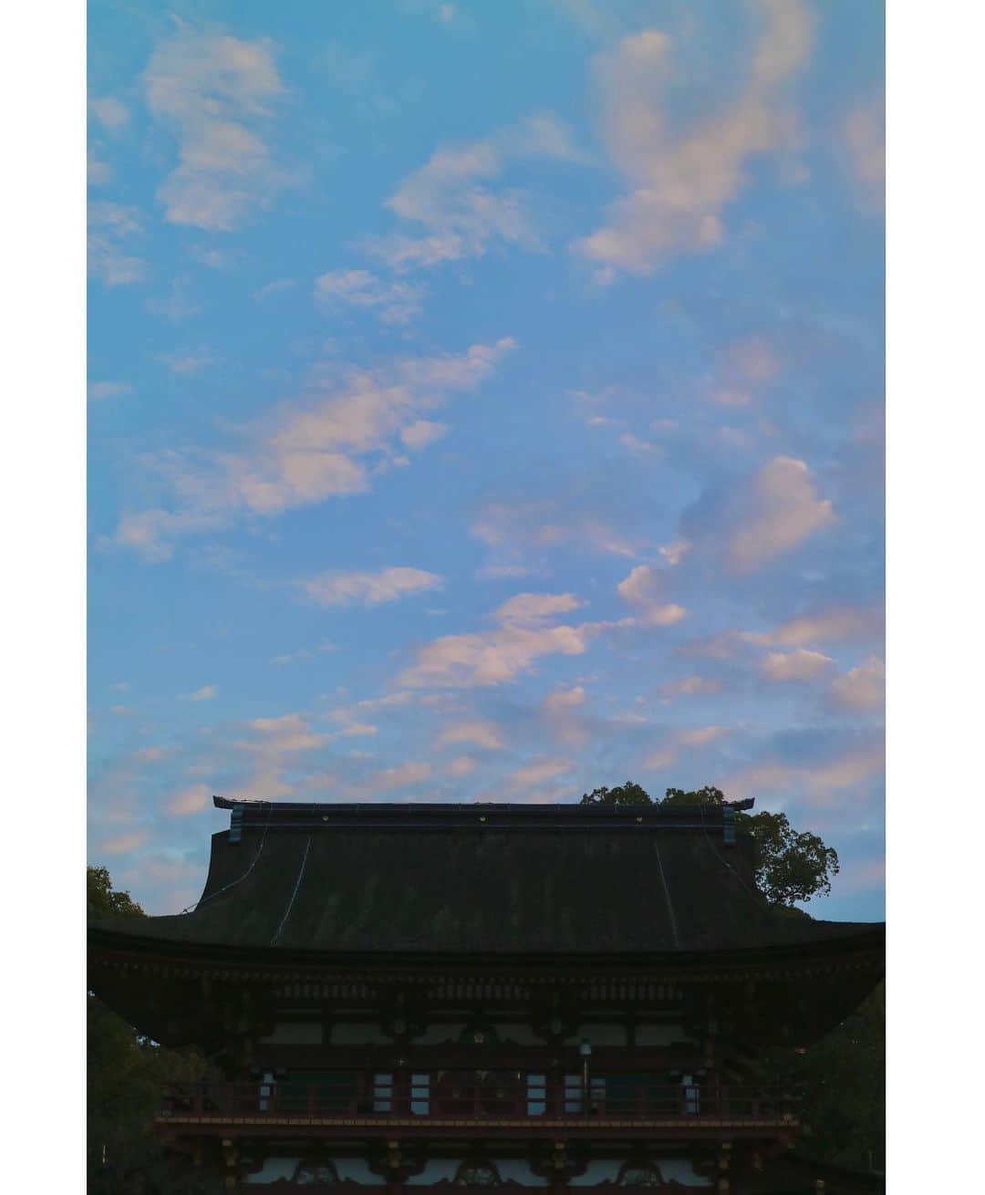 斎藤ちはるさんのインスタグラム写真 - (斎藤ちはるInstagram)「水色の空に浮かぶ雲☁️ . 空や雲の色がピンクにもオレンジにも黄色にも紫にも見えてくるから不思議🧐 . . #2022 #ラスト の #chihashot #写真ライフ で #連載 を #始めさせていただいたり #ロケ で #マイカメラ を #持たせていただいたり #充実した #カメラライフ を #送れました #来年も沢山撮ります♡ . . #斎藤ちはる#テレビ朝日アナウンサー#テレビ朝日#テレ朝#アナウンサー#カメラ#ミラーレス#ミラーレス一眼#ミラーレス一眼カメラ#ミラーレスのある生活#単焦点#単焦点レンズ#単焦点レンズの世界#空#雲#夕空#マジックアワー」12月29日 20時47分 - chiharu_saito_ex