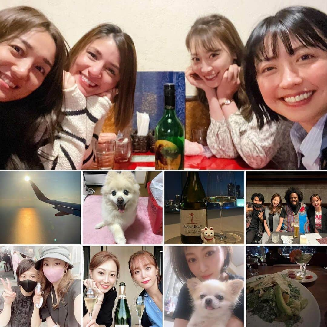 中村果生莉のインスタグラム：「🍀*゜ . . 2022年も、まもなく終わりをむかえようとしていますね。  今年は色々ありすぎたなぁ。  コロナになったり、愛犬2匹とのお別れがあったり、精神的にグッと来る出来事があったり。  だけど、その度に何とか乗り越えてこられたのも事実。  今となっては、全てが学びであり、必然だったのかなって思えるようになったのも  その分、いっぱい笑えたし、いっぱい幸せな事もあったからだと思います。  そうやってきっと、人生っていい時と悪い時の波を繰り返していくんだよね。  切れたり繋がったりする縁の中から、自分にとって本当に必要なもの、大切なものに気づいていくために用意されている試練なのかなと思いつつも  来年もきっと泣いたり笑ったり、悩んだり迷ったり、忙しい1年になるのだろうけど  来年も逃げずに、向き合い続けると決めました。  どんな時も傍にいてくれる大切な人達。  いつもコメントやいいね！で応援して下さる皆様。  今年も本当にありがとうございました☺️  来年は、メンタルトレーナーとしても更にパワーアップしていけるように現状に満足せず、驕ることなく、進んで行きます。  本当に色んなことがあった2022年だったけど、不器用なりにも一生懸命生きた1年だったと言い切れる年になりました。  来年も一生懸命、生きよう。  皆様、良いお年をお過ごし下さい🥰 . . . #2022年 #ありがとう」