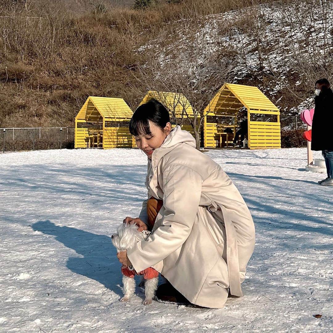 ハ・ウンジンのインスタグラム：「심드렁한 무뚝뚱씨 맞춤 여행🐶」