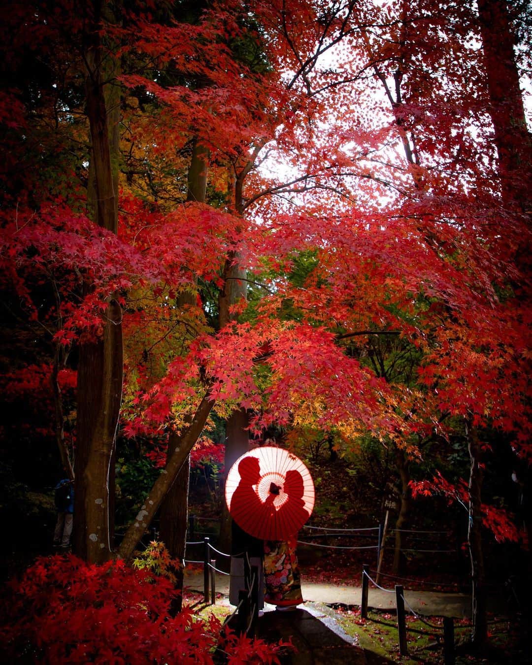 勝田梨乃さんのインスタグラム写真 - (勝田梨乃Instagram)「⁡ コロナで先延ばしになっていた結婚写真、やっと撮れた☺️ ⁡ 2022年にやり残したドレスの写真は2023年に持ち越しです💐」12月30日 15時59分 - rino_katsuta