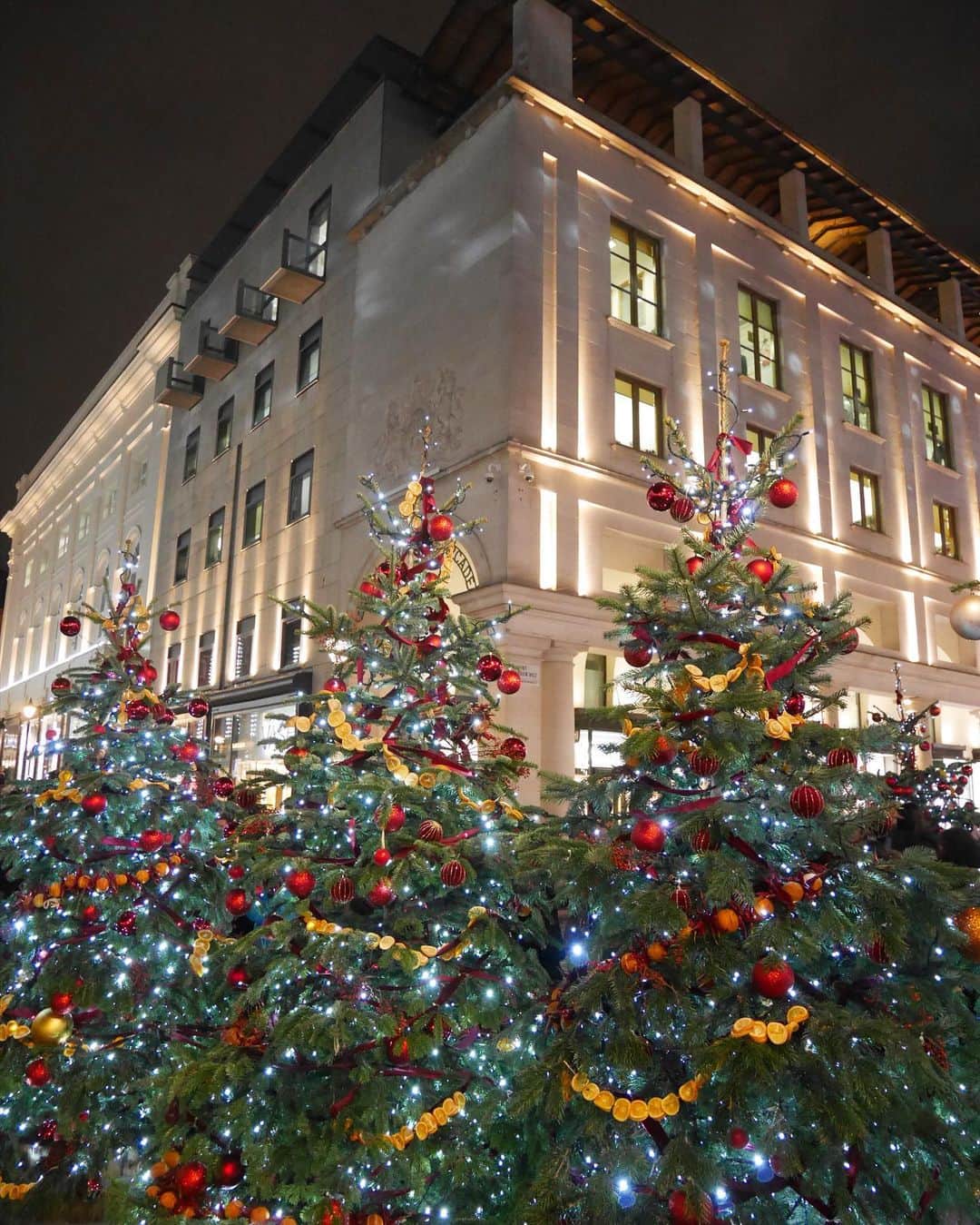 田本詩織さんのインスタグラム写真 - (田本詩織Instagram)「LAでもクリスマス過ごしたことはあったけど、ロンドンのクリスマスはさらに素敵だった🎄」12月30日 18時04分 - shiori_tamoto829