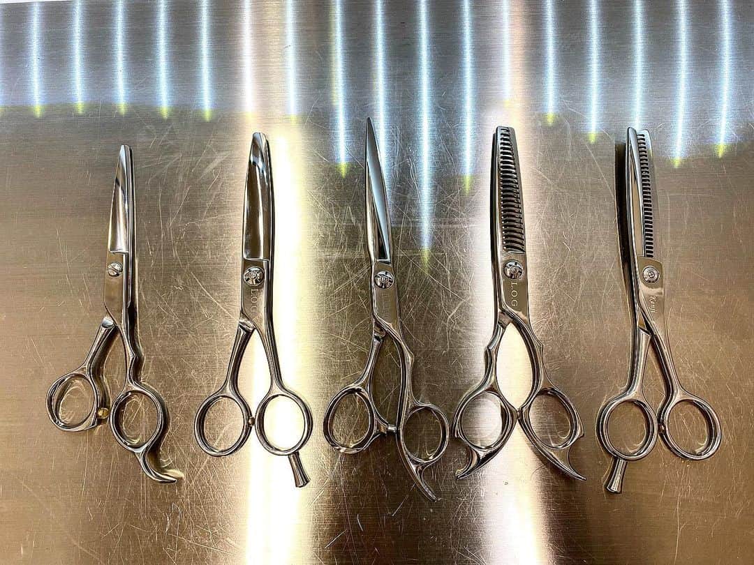 唐沢憲司のインスタグラム：「16年間ありがとうございました✂︎ 本日 2022年12月30日を持って引退いたします！☺️✨ 今年の頭に決めて、1年かけてしっかり引き継ぎをしてきました😊 L.O.Gをスタートしてから来年で10年になりますが、今月12月のお店売り上げが、今までで過去最高でした🔥👏🏻✨ 今、L.O.Gにはスターが沢山います😁 本当に凄い事だと思います！ 僕はプレーヤーとしてはハサミを置いてしまいますが、これからも、L.O.Gが飛躍するようにスタッフをバックアップ全力でサポートしていきます！ 技術力があり、働きやすく、お給料も高く、沢山の有名な方が来る、チャンスが沢山あるサロン作りをしていきます！  長く担当させて頂いた沢山のお客様には、本当に感謝しかありません。🙇🏻‍♂️🙏🏻 新規で一回しか担当出来なかったお客様もびっくりされていましたが、 これからも是非素晴らしい後輩に引き継ぎたいと思います！ また来年2023年1月からL.O.G groupをご愛顧のほどよろしくお願い申し上げます。 スタッフ一同心よりお迎えいたします！ 皆様良い年になりますように🇯🇵  L.O.G 代表取締役 唐澤憲司」