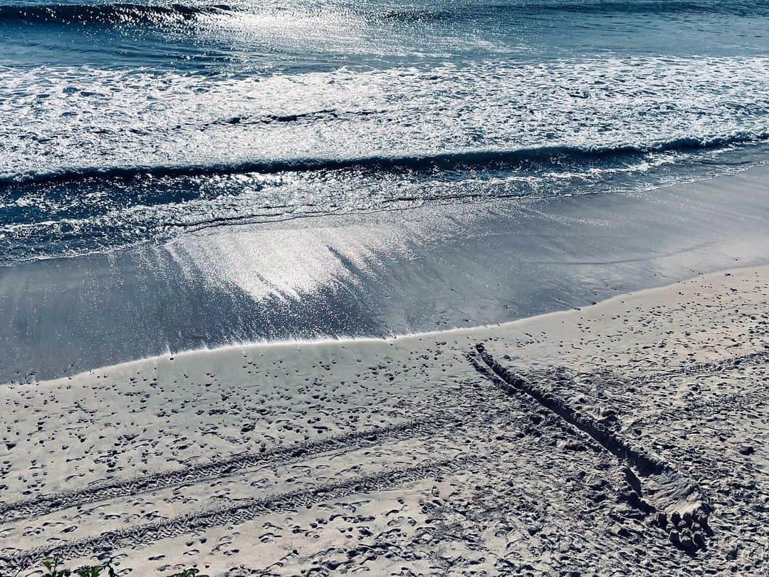 エミー・ロッサムさんのインスタグラム写真 - (エミー・ロッサムInstagram)「🌞」12月31日 5時22分 - emmy