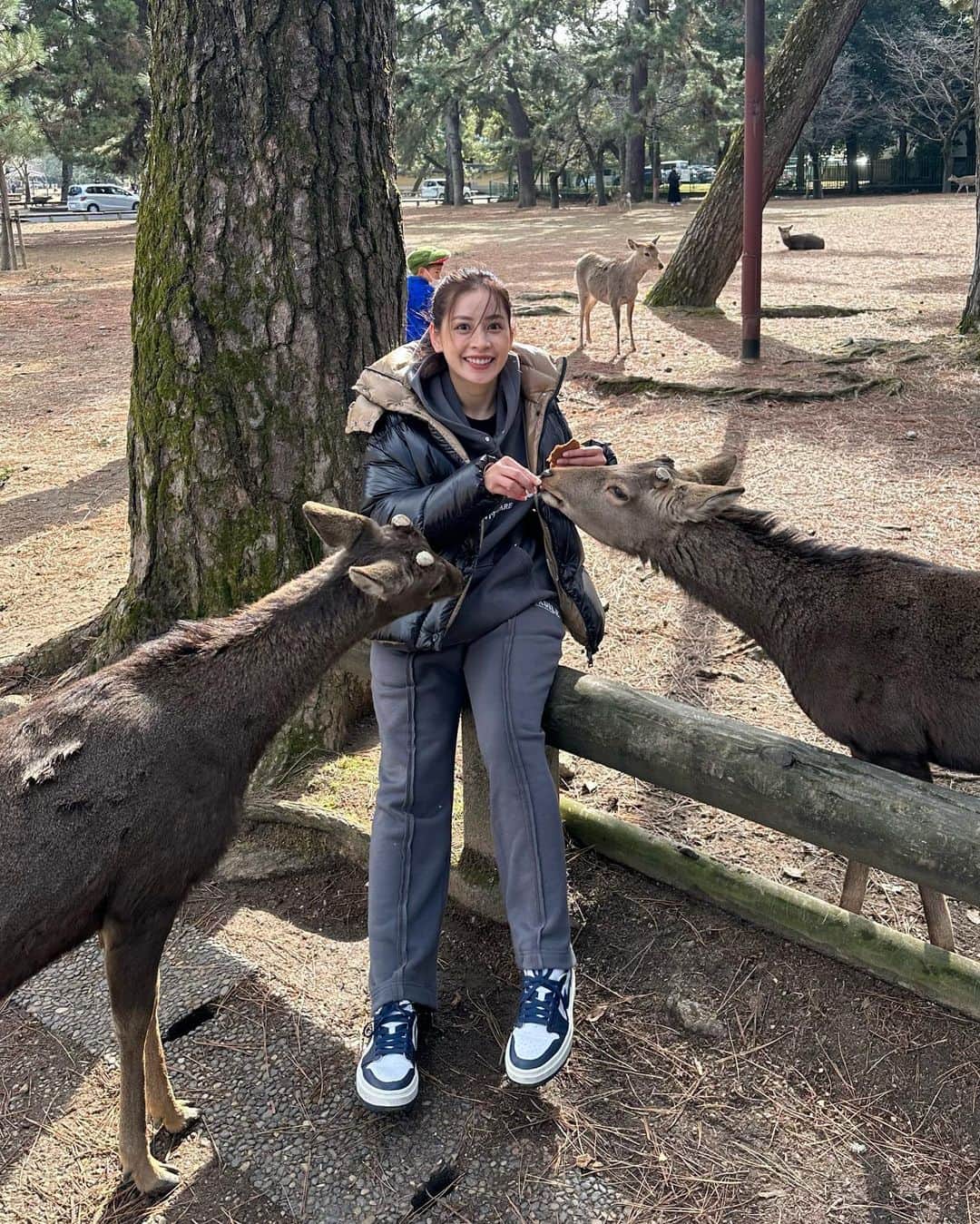 Chi Puのインスタグラム：「Pupu being attacked by deer 🦌🦌🦌」
