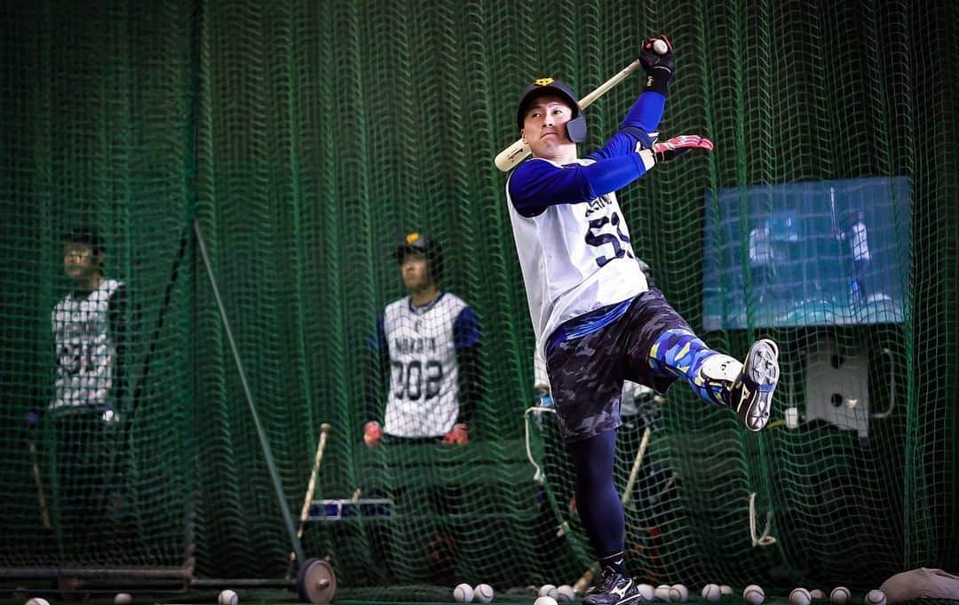 浅野翔吾のインスタグラム：「新人合同自主トレ終了。 宮崎キャンプ怪我なく終われるように頑張ります🔥」