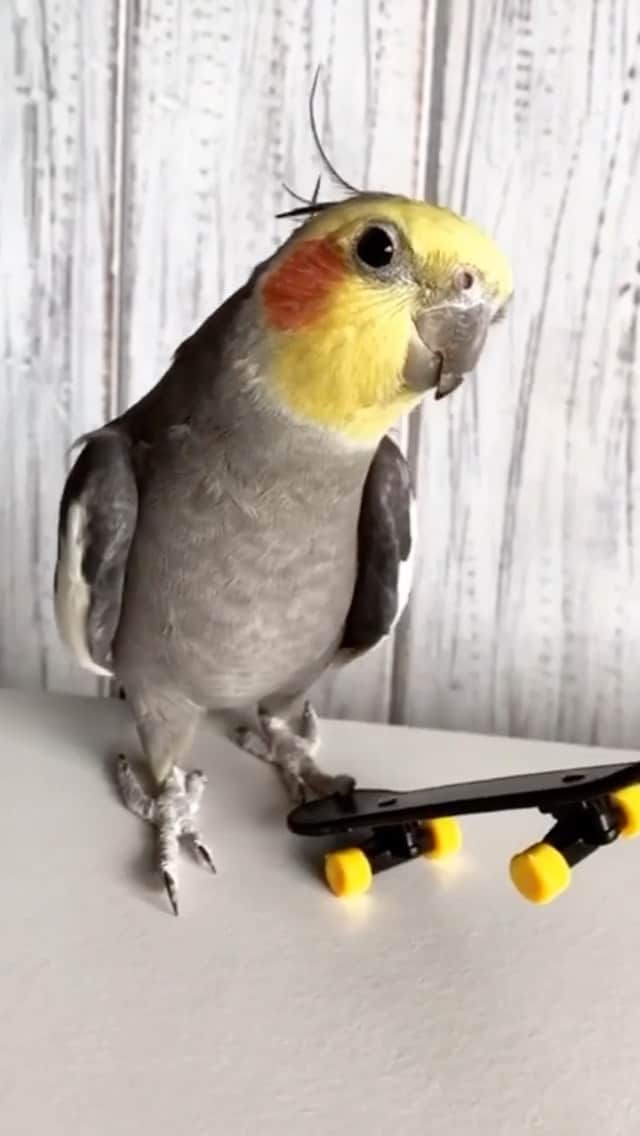 Jackのインスタグラム