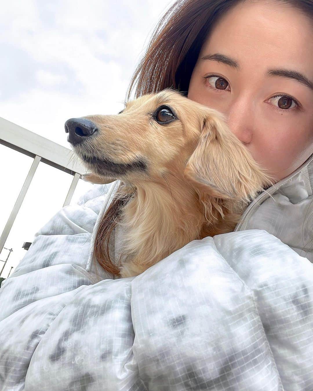 清水梨紗のインスタグラム：「. 今までたくさんの愛をありがとう 清水家を選んでくれてありがとう 家族になってくれて幸せだったよ  りきも色々な方から たくさんの愛をもらっていたので ここで報告させてもらいます  大好きだよ」