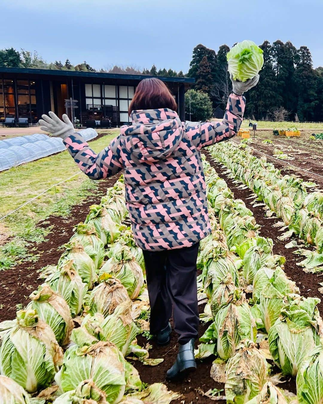 川瀬良子さんのインスタグラム写真 - (川瀬良子Instagram)「2023年　畑初め♪  ハクサイ・ニンジン・芽キャベツ　収穫〜！  「やっぱり畑は楽しぃ〜！」と、叫んでしまいました😊👏🏻  2023年も、どんな農家さんに出会えるかな〜 どんな農畜産物に触れることができるかな〜  楽しみです♪  今日もさっそく九州へ✈️  また、ストーリーズなどにアップしますね〜🤗  🥕🥬🍅  #農業 #収穫 #収穫体験 #畑」1月25日 10時01分 - kawase_ryoko