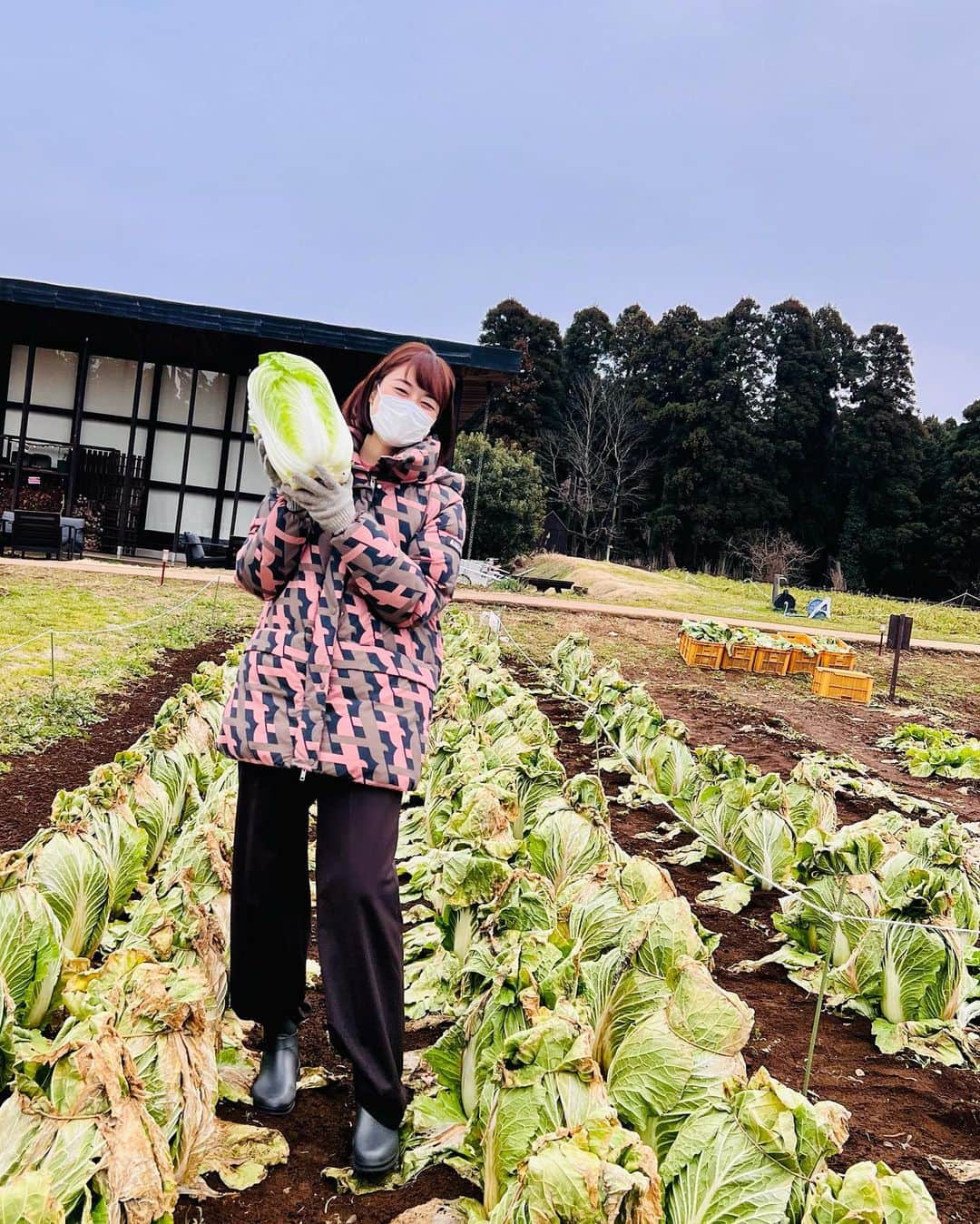 川瀬良子さんのインスタグラム写真 - (川瀬良子Instagram)「2023年　畑初め♪  ハクサイ・ニンジン・芽キャベツ　収穫〜！  「やっぱり畑は楽しぃ〜！」と、叫んでしまいました😊👏🏻  2023年も、どんな農家さんに出会えるかな〜 どんな農畜産物に触れることができるかな〜  楽しみです♪  今日もさっそく九州へ✈️  また、ストーリーズなどにアップしますね〜🤗  🥕🥬🍅  #農業 #収穫 #収穫体験 #畑」1月25日 10時01分 - kawase_ryoko