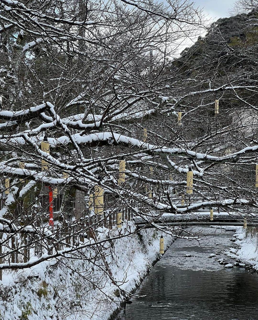 やまとや（城崎温泉)さんのインスタグラム写真 - (やまとや（城崎温泉)Instagram)「全国的に大寒波となりました。 温泉街の積雪はそこまで多くありませんが、気温が低い状態が続きそうなのでお気をつけくださいませ！ #城崎温泉」1月25日 10時27分 - yamatoya2018