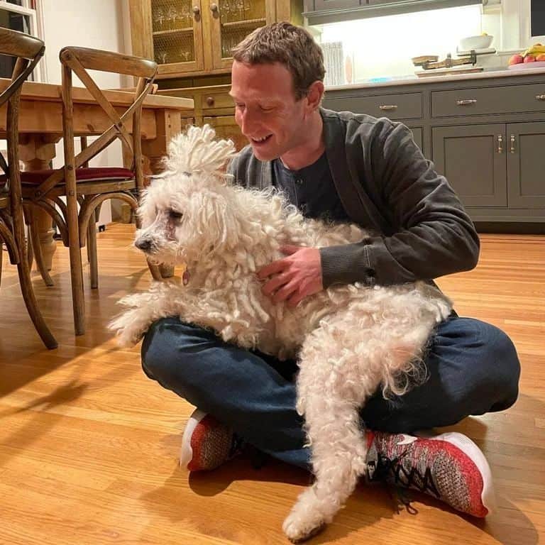 マーク・ザッカーバーグのインスタグラム：「Gave Beast a haircut 😂」
