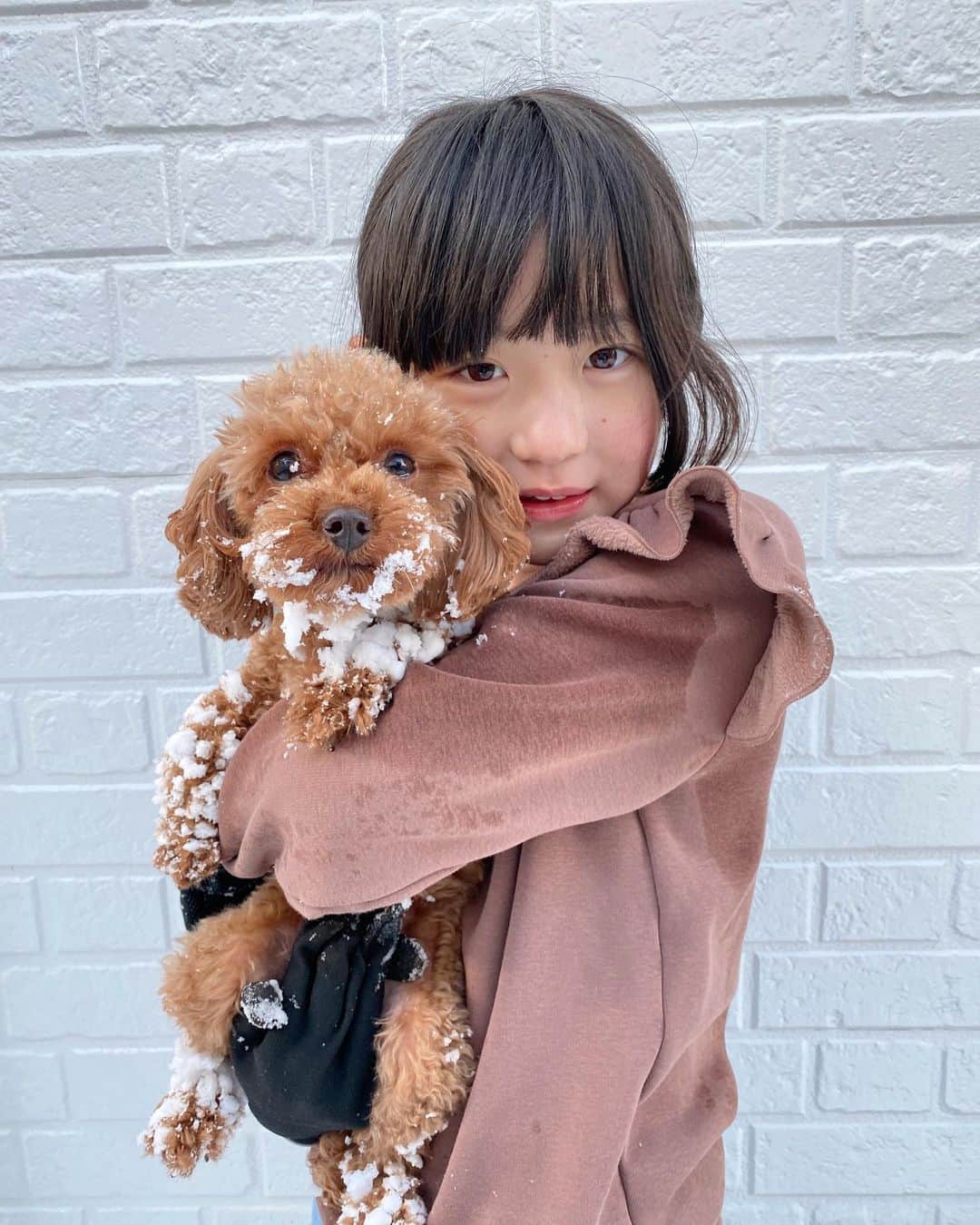 *yoko*さんのインスタグラム写真 - (*yoko*Instagram)「* ◇2023.1.25 • この雪やし絶対学校休みになるやろうと思ってたら、 まさかの普通にあった😂  雪だらけの中、無事に学校から帰って来て、友達と雪遊び〜⛄️  薄着やし、裸足やし、寝転がるし... とりあえず思う存分雪を楽しめたもよう❄️  こむの足跡が可愛すぎた♡ ちゃんと肉球がある🐾🐾🐾  #雪#雪遊び」1月25日 17時30分 - yococono