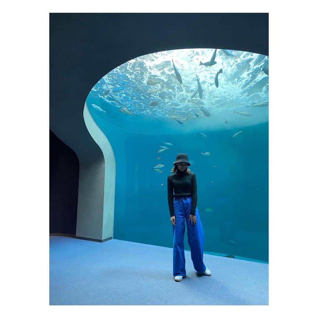 山本里咲のインスタグラム：「四国シリーズ第3弾！ 四国水族館🐟  この水槽の、光の差し方がすごく綺麗だった！ 2枚目は絶妙な半目だから拡大しないでネ(フリじゃない☹️)  この水族館にいるアシカ(？)と会話してきました🦭  #四国水族館  連日寒い夜が続きますね、、あったかくしてください😖」