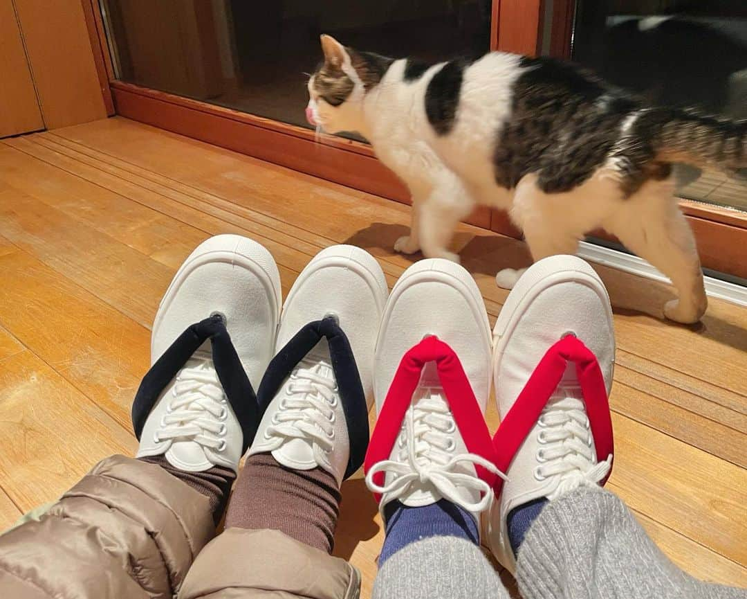 石川さゆりさんのインスタグラム写真 - (石川さゆりInstagram)「小山薫堂さんにいただいたHANAO SHOES どこに出かけようかな🎶  #石川さゆり #sayuriishikawa #小山薫堂 さん #hanaoshoes #japan #ちょっと気になる」1月25日 22時27分 - sayuri_ishikawa_official