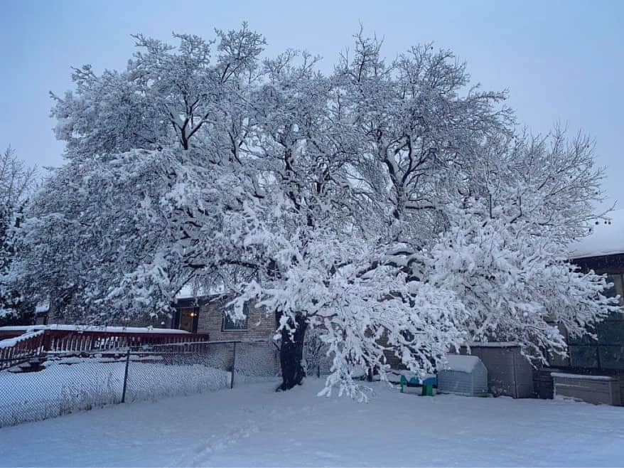 小嶋晶子のインスタグラム：「Photos from my friend in Michigan.」